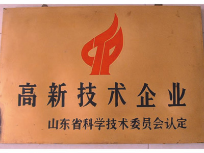 高新技術(shù)企業(yè)